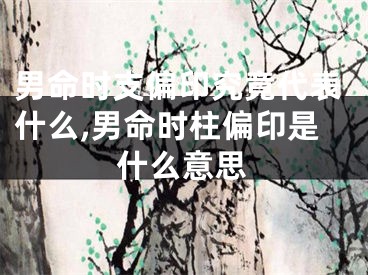 男命时支偏印究竟代表什么,男命时柱偏印是什么意思