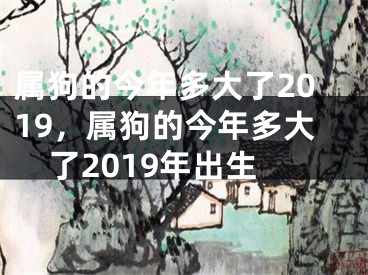 属狗的今年多大了2019，属狗的今年多大了2019年出生