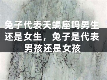 兔子代表天蝎座吗男生还是女生，兔子是代表男孩还是女孩