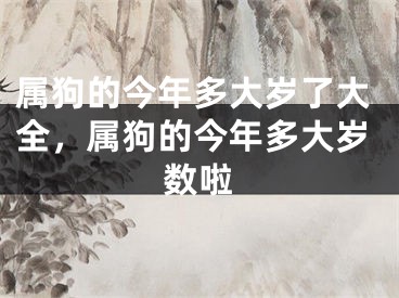 属狗的今年多大岁了大全，属狗的今年多大岁数啦