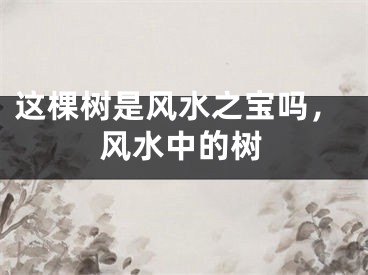 这棵树是风水之宝吗，风水中的树