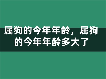 属狗的今年年龄，属狗的今年年龄多大了