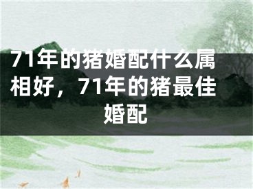 71年的猪婚配什么属相好，71年的猪最佳婚配