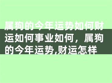 属狗的今年运势如何财运如何事业如何，属狗的今年运势,财运怎样