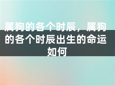 属狗的各个时辰，属狗的各个时辰出生的命运如何