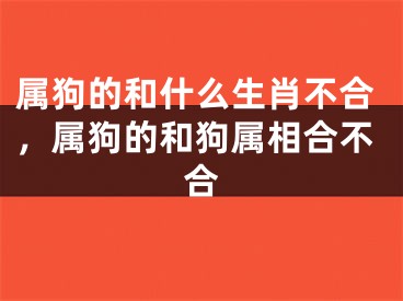 属狗的和什么生肖不合，属狗的和狗属相合不合