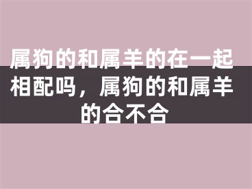 属狗的和属羊的在一起相配吗，属狗的和属羊的合不合