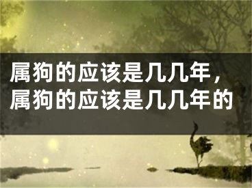 属狗的应该是几几年，属狗的应该是几几年的