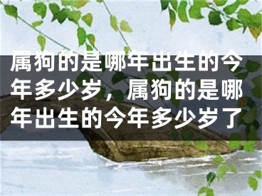 属狗的是哪年出生的今年多少岁，属狗的是哪年出生的今年多少岁了