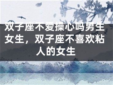 双子座不爱操心吗男生女生，双子座不喜欢粘人的女生