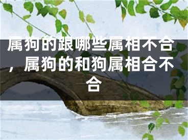 属狗的跟哪些属相不合，属狗的和狗属相合不合