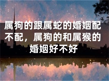 属狗的跟属蛇的婚姻配不配，属狗的和属猴的婚姻好不好