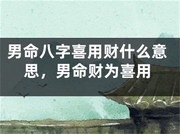 男命八字喜用财什么意思，男命财为喜用