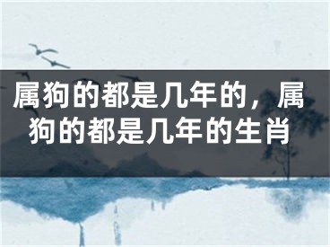 属狗的都是几年的，属狗的都是几年的生肖