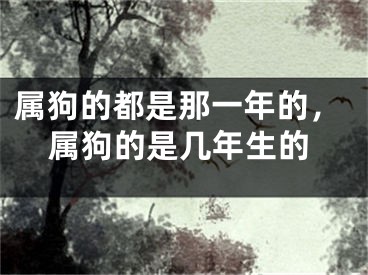 属狗的都是那一年的，属狗的是几年生的