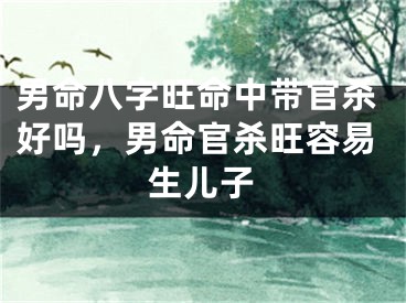 男命八字旺命中带官杀好吗，男命官杀旺容易生儿子