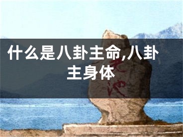 什么是八卦主命,八卦主身体