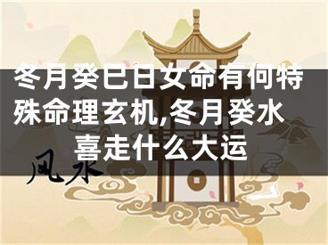 冬月癸巳日女命有何特殊命理玄机,冬月癸水喜走什么大运