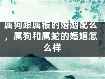 属狗跟属猴的婚姻配么，属狗和属蛇的婚姻怎么样
