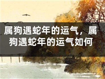 属狗遇蛇年的运气，属狗遇蛇年的运气如何