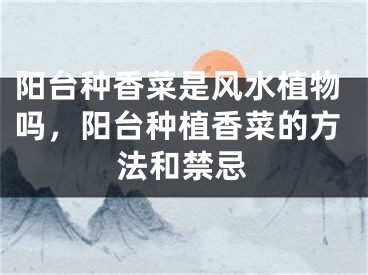 阳台种香菜是风水植物吗，阳台种植香菜的方法和禁忌