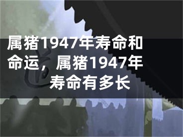 属猪1947年寿命和命运，属猪1947年寿命有多长