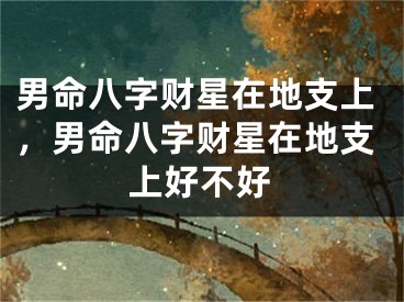 男命八字财星在地支上，男命八字财星在地支上好不好