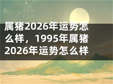属猪2026年运势怎么样，1995年属猪2026年运势怎么样