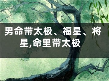 男命带太极、福星、将星,命里带太极