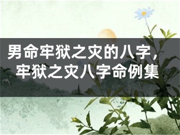 男命牢狱之灾的八字，牢狱之灾八字命例集