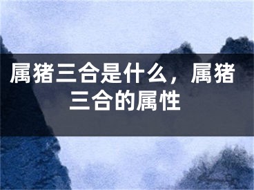 属猪三合是什么，属猪三合的属性