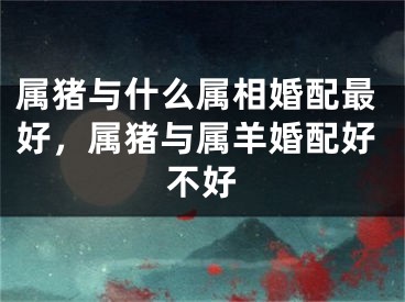 属猪与什么属相婚配最好，属猪与属羊婚配好不好