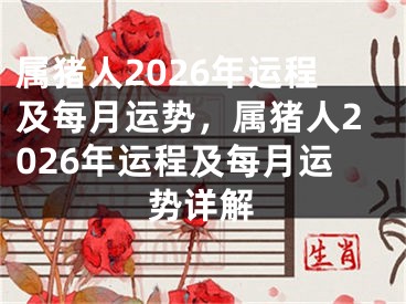 属猪人2026年运程及每月运势，属猪人2026年运程及每月运势详解