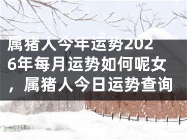 属猪人今年运势2026年每月运势如何呢女，属猪人今日运势查询