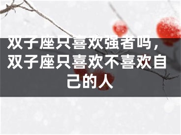 双子座只喜欢强者吗，双子座只喜欢不喜欢自己的人