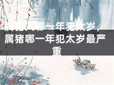 属猪人哪一年犯太岁，属猪哪一年犯太岁最严重