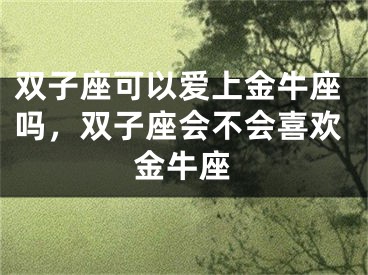 双子座可以爱上金牛座吗，双子座会不会喜欢金牛座