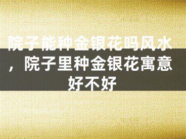 院子能种金银花吗风水，院子里种金银花寓意好不好