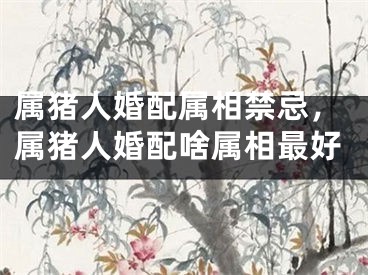 属猪人婚配属相禁忌，属猪人婚配啥属相最好