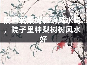 院里栽梨树影响风水吗，院子里种梨树树风水好