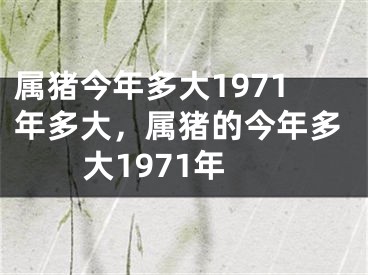 属猪今年多大1971年多大，属猪的今年多大1971年