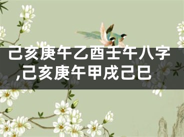 己亥庚午乙酉壬午八字,己亥庚午甲戌己巳