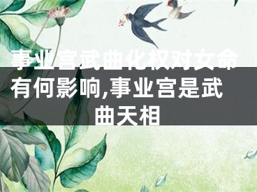 事业宫武曲化权对女命有何影响,事业宫是武曲天相