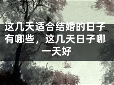 这几天适合结婚的日子有哪些，这几天日子哪一天好