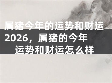 属猪今年的运势和财运2026，属猪的今年运势和财运怎么样