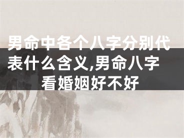 男命中各个八字分别代表什么含义,男命八字看婚姻好不好
