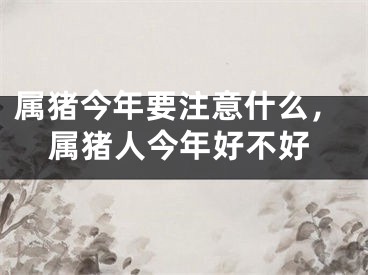 属猪今年要注意什么，属猪人今年好不好