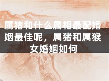 属猪和什么属相最配婚姻最佳呢，属猪和属猴女婚姻如何