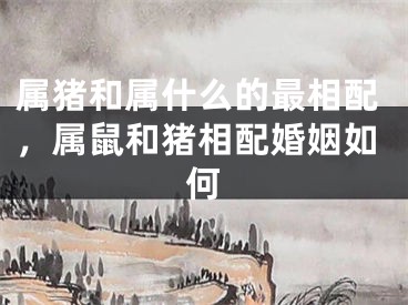 属猪和属什么的最相配，属鼠和猪相配婚姻如何