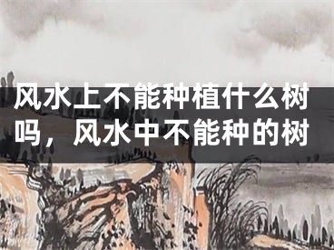 风水上不能种植什么树吗，风水中不能种的树